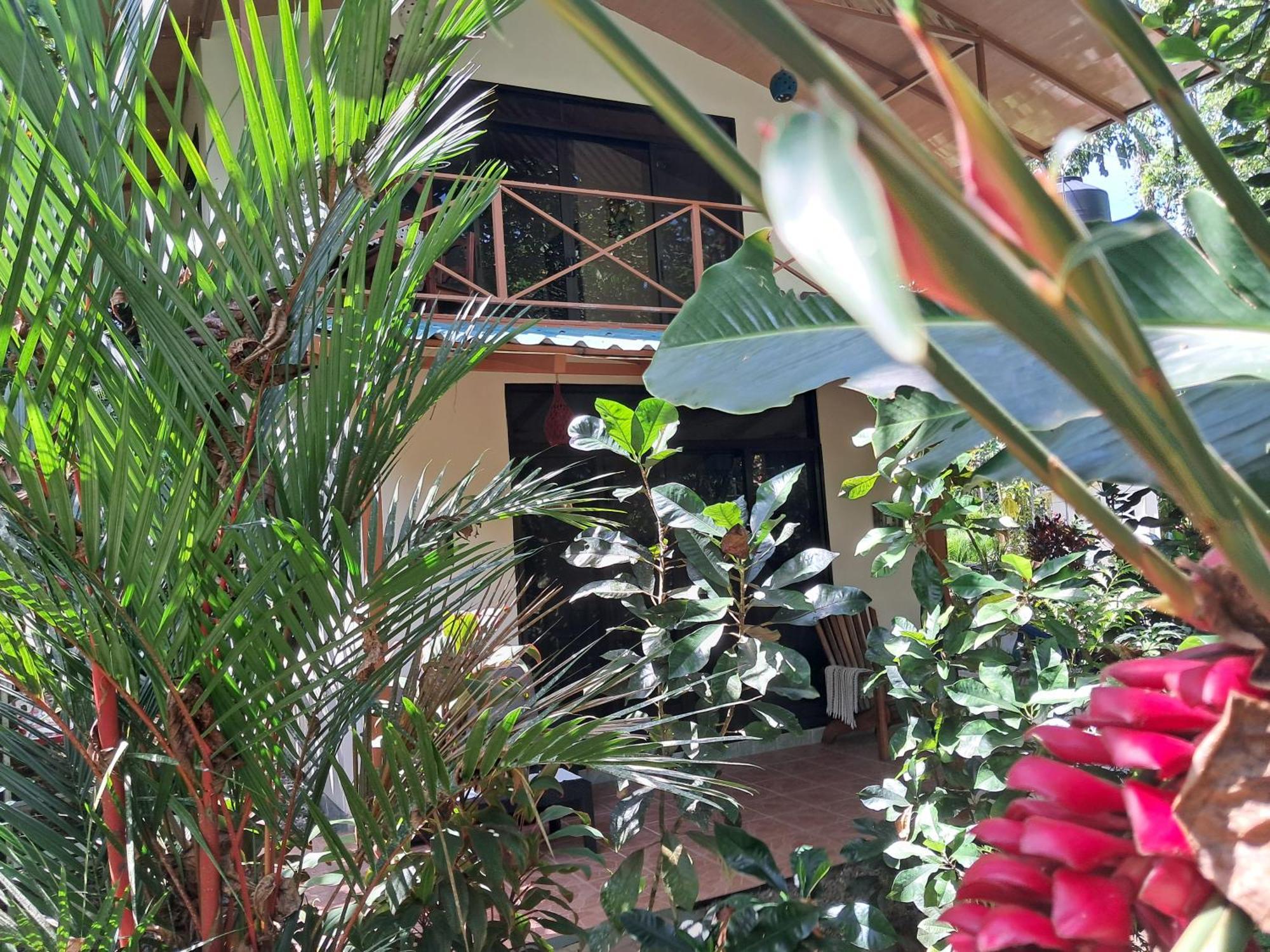 New Caribe Point Vila Cahuita Exterior foto