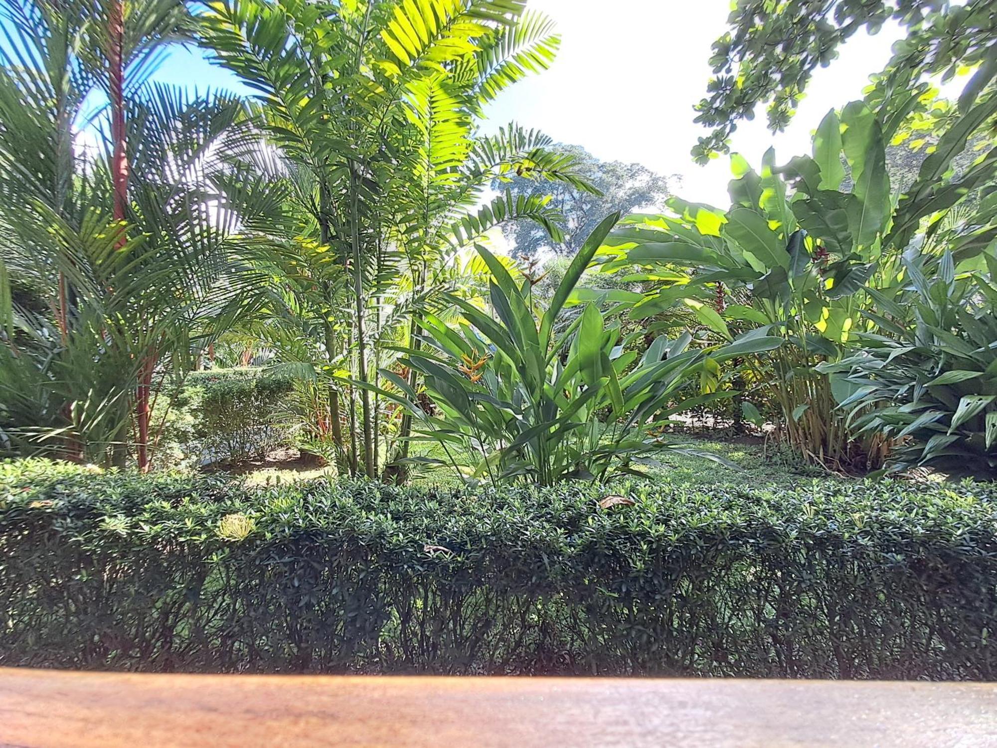 New Caribe Point Vila Cahuita Exterior foto