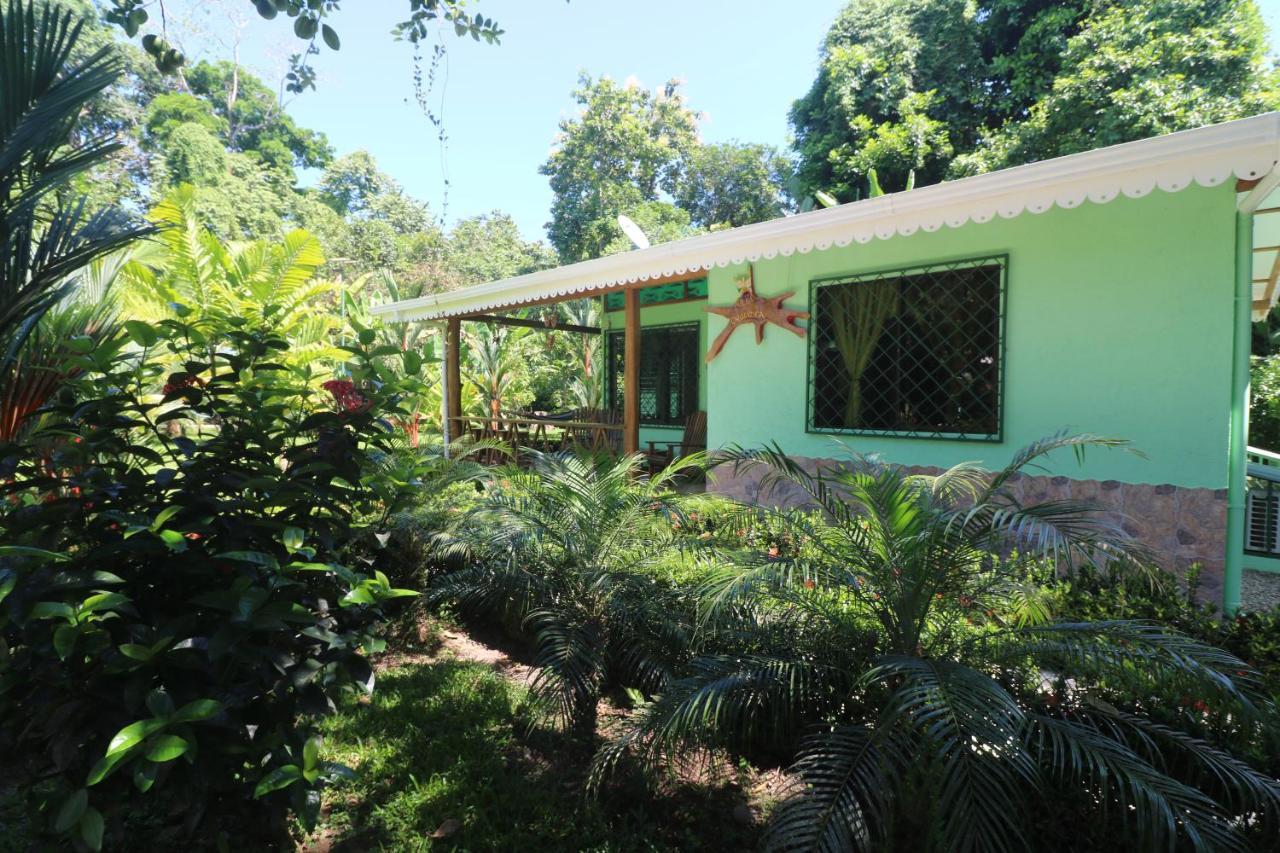 New Caribe Point Vila Cahuita Exterior foto